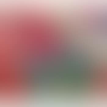 Blumengarten, Ohne Figur Flower Garden, Without Figure (preview)