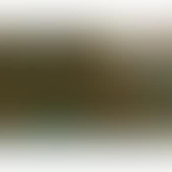 Die Vision Des Heiligen Hubertus (The Vision Of St. Hubert) (preview)