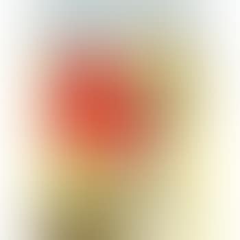 Les Chanoines (preview)