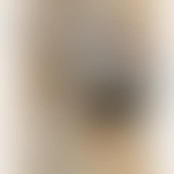 C 50 Letzte Vögel Und Blumen (C 50 Last Birds And Flowers) (preview)