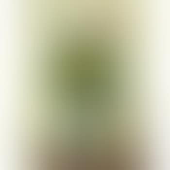 Bouquet Varié Dans Un Vase De Gallé (preview)