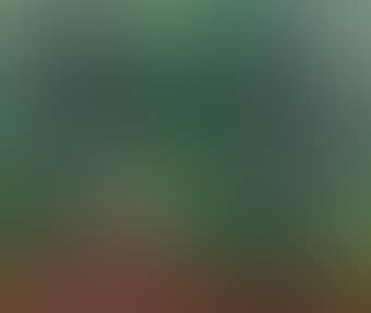 Waldweg (preview)