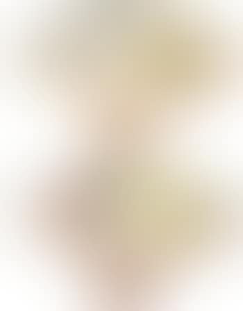 Plum. Landscape (preview)