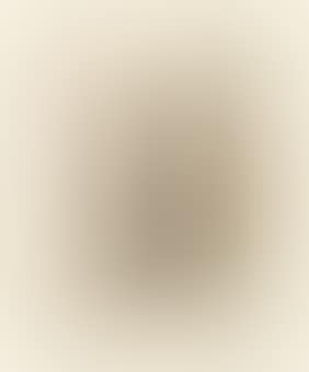 Disegno (preview)