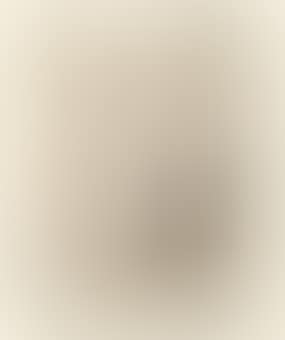Disegno (preview)