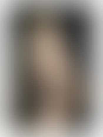 El Retrato De Helène (preview)