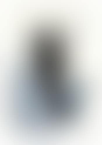 Flasche (Bird) (preview)