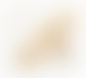 Ombelico Di Venere Cotyledon Umbilicus Veneris (preview)