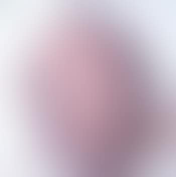 Study Of a Head (preview)