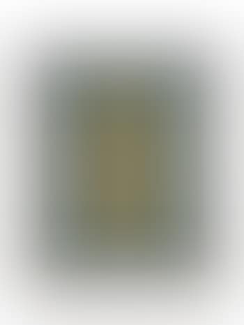 Parliament Window (preview)
