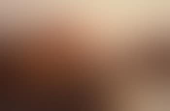 Highland cattle at sunrise (preview)