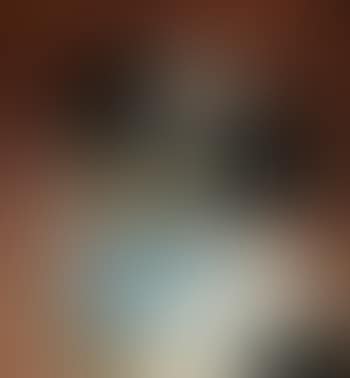 Japanese Chin (preview)