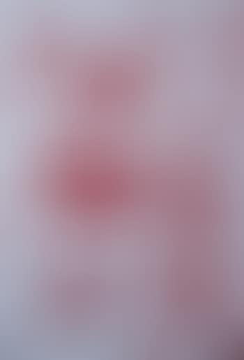 Segno rosso (preview)
