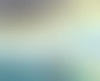 Two terns at sea (preview)