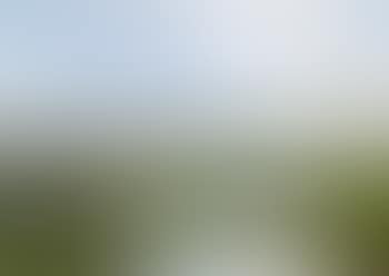 Skagens Hede ved Brovandene (preview)