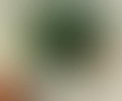 Hochimort (preview)
