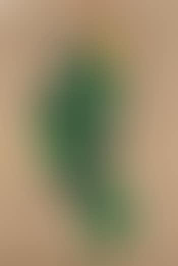 Fiori (preview)