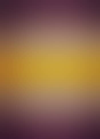 Untitled (Tristes Tropiques) (preview)