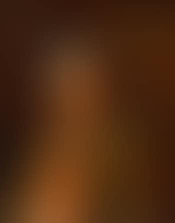 Herenportret (preview)