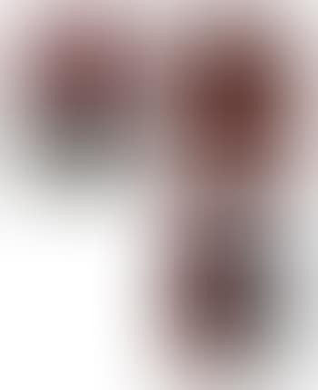 Bleibilder (preview)