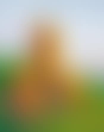 Un giorno… (preview)
