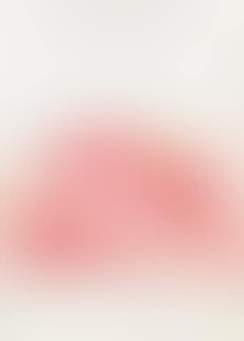 Hannover Serie, Nr. 8 (preview)