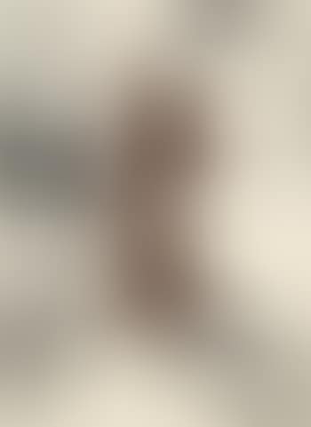 Verwandlungen (preview)