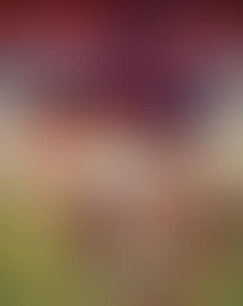 Efter oss syndafloden (preview)