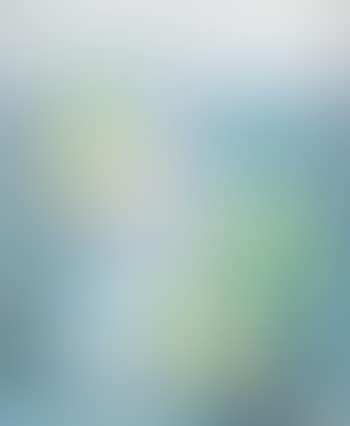 Nature Morte (preview)