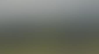 Landscape with Trees (preview)