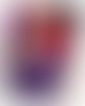Mark Webber (preview)