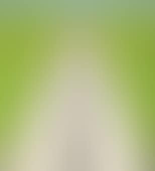 Landscape (preview)