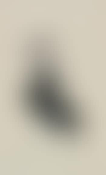 Ad Reinhardt Bird (preview)