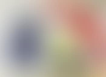 Oignon Et Navets (preview)
