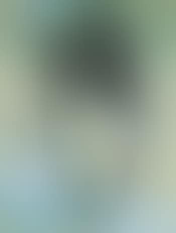Self Portrait (preview)