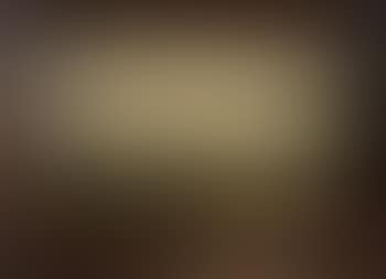 Paysage de Campine (preview)