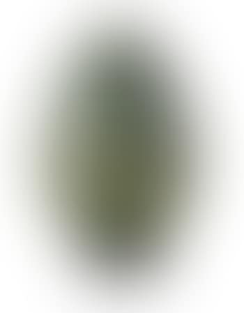 Ägg (preview)