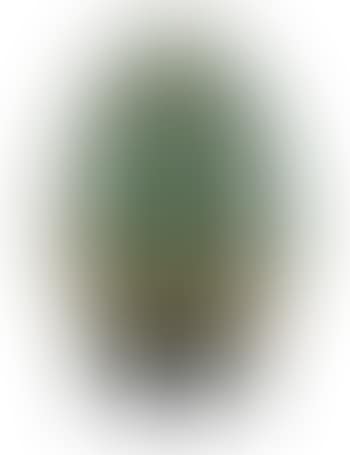 Ägg (preview)