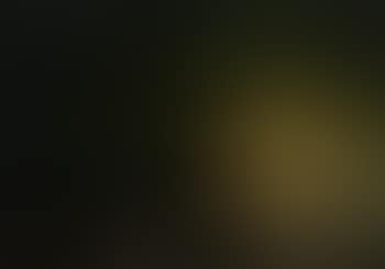 Küstenlandschaft bei Mondlicht (preview)