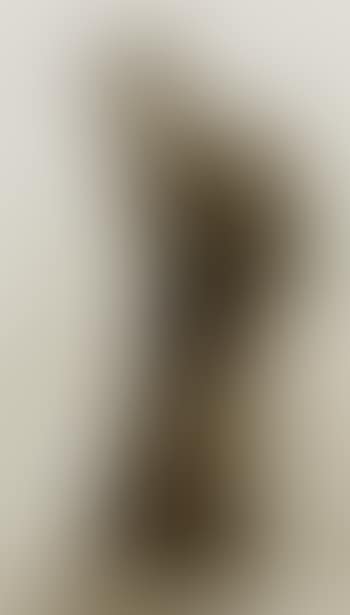 Elegante Dame im Pelzmantel (preview)