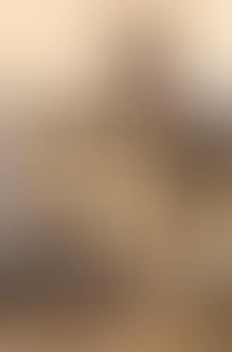 Ulrepforte (preview)