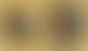 Ohne Titel (preview)