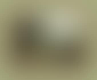 A wooded river landscape with a woman on a track (preview)