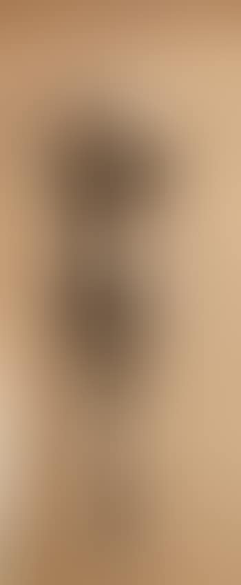 Male nude, back view (preview)