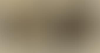 Untitled (Still Life with Black Ground) (preview)