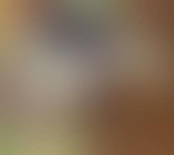 Untitled (Horses) (preview)