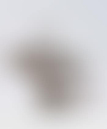 Pelicano (preview)