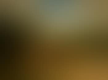 A herd of cattle along a country road (preview)