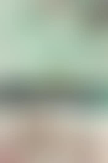 Snady cat (preview)