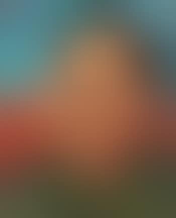 Portrait Of Mao Tse-tung (preview)